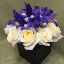 Compact arrangement of white roses and purple irises in a black cube vase