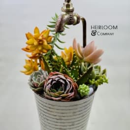 Succulent arrangement in a striped metal pot with a faucet topper