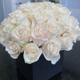 Bouquet of white roses in a dark box