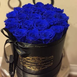 Round black hat box filled tightly with vivid blue roses and tied with a black ribbon