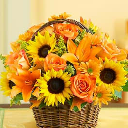 Fields of Europe for Fall Basket