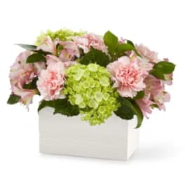 Pink flowers and green hydrangeas arranged in a white box