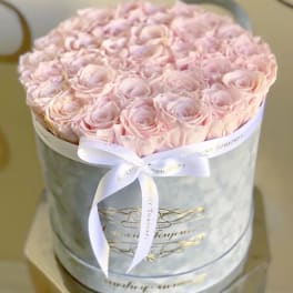 Round gray hatbox filled with tightly packed pale pink roses and tied with a white ribbon