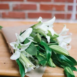 Bouquet of white lilies wrapped in brown paper