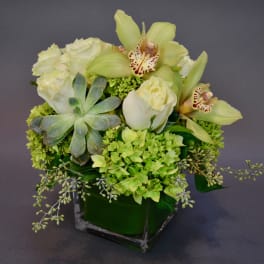 Green and white floral arrangement in a square glass vase