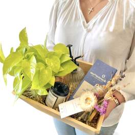 Gift tray with a potted plant, candle, dried flowers, and a chocolate bar