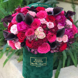 Boxed bouquet of pink and red roses with dark leaves