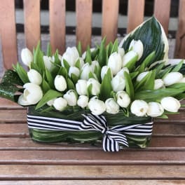 White tulips arranged in a rectangular glass vase with a striped ribbon