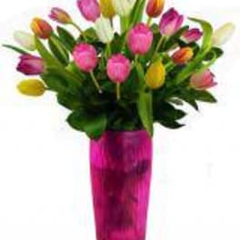 Bouquet of multicolored tulips in a tall pink vase