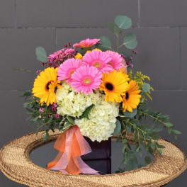 Bouquet of pink and yellow gerbera daisies with white hydrangea in a black box