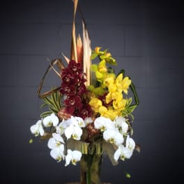 Tall orchid arrangement in a glass vase with white, yellow, and burgundy blooms