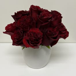 Bouquet of deep red roses in a white vase