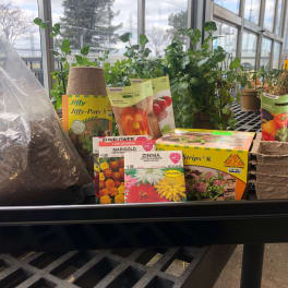 Seed packets and starter pots with potted plants on a greenhouse bench