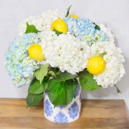 Blue and white hydrangeas with lemons in a patterned vase