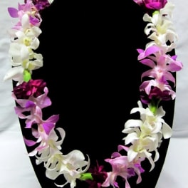Orchid & Carnation Lei