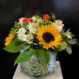 Sunflower and white alstroemeria arrangement in a glass vase