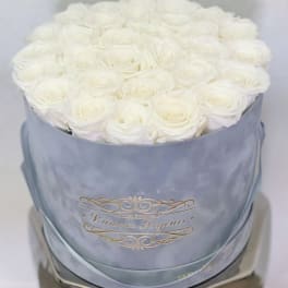 Round box filled with tightly packed white roses in a light blue container