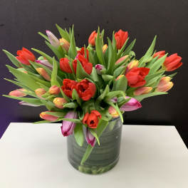 Bouquet of multicolored tulips in a glass vase