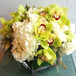Bouquet of green orchids and white hydrangeas in a glass vase