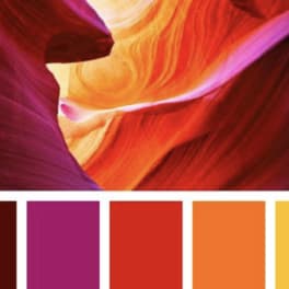 Abstract close-up of red, orange, and purple flower petals