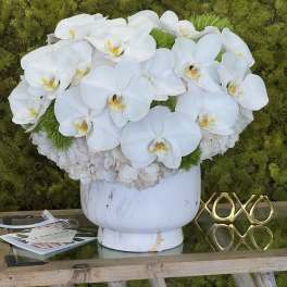 White orchid arrangement in a white vase against a moss wall