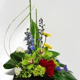 Tropical floral arrangement with red roses, green orchids, and blue flowers on a black base