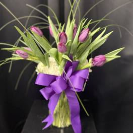 Passionate Purple Tulips
