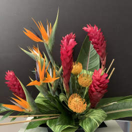Tropical arrangement with orange bird-of-paradise and pink ginger flowers