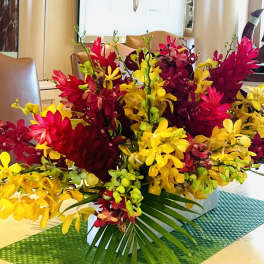 Bright red and yellow orchid arrangement in a low white container