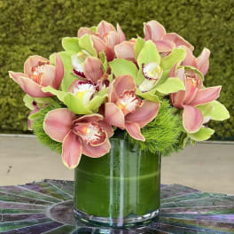Pink and green orchids arranged in a glass vase