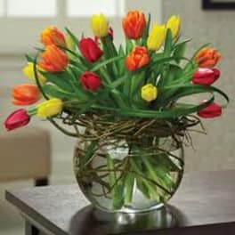 Colorful tulips arranged in a round glass vase