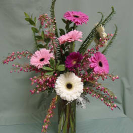 Tall glass vase of pink and white gerbera daisies with pink accent blooms and greenery.