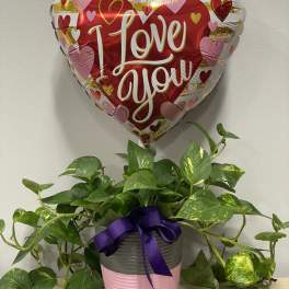 Heart-shaped "I Love You" balloon above a potted pothos plant