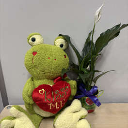 Plush frog holding a heart beside a potted peace lily