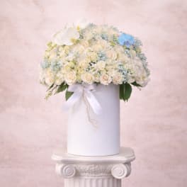 Round arrangement of ivory spray roses with white and blue accents in a tall white cylinder box.
