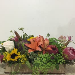 Mixed floral arrangement with lilies, sunflowers, roses, and protea in a low container