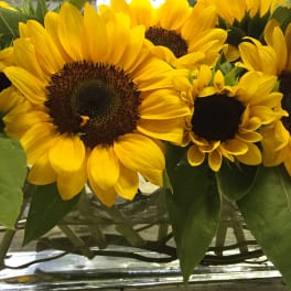 Bouquet of yellow sunflowers with green leaves