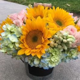 Bouquet of sunflowers, pale pink roses, and blue-green hydrangeas in a black bucket