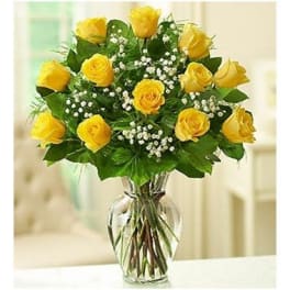 Yellow roses arranged in a clear glass vase with small white filler flowers.