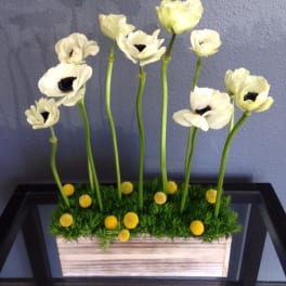 White anemones in a rectangular planter with moss and yellow accents