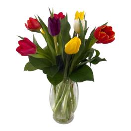 Colorful tulips arranged in a clear glass vase