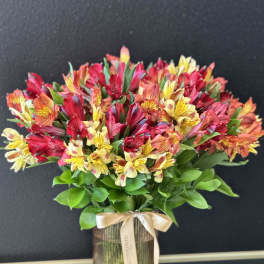 Awesome Alstroemeria