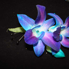 Two blue-purple orchid boutonnieres on a dark surface