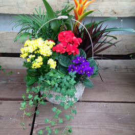Basket arrangement with colorful potted flowers and trailing ivy