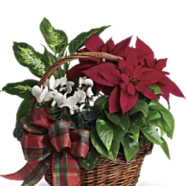 Holiday Basket