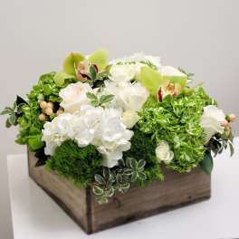 White roses and green orchids in a wooden box arrangement