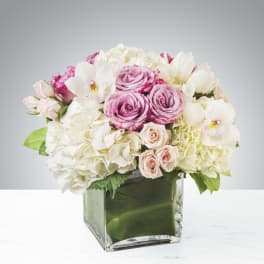 Low arrangement of white hydrangeas, pink roses, and orchids in a clear cube vase lined with green leaves