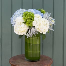 Blue and white hydrangeas in a tall green glass vase