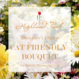 Cat-friendly bouquet with daisies and mixed flowers