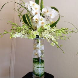 White orchids arranged in a tall glass vase with green accents